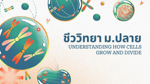 Private Course สำหรับ น้องอาร์ม